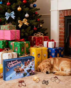Brain Teaser Advent Calendar for Teens Adults Older Kid Seniors Family 24 Puzzles & Challenge Card, Christmas Countdown Calendar for Xmas Gathering Fun, Brain Challenges Games for Party