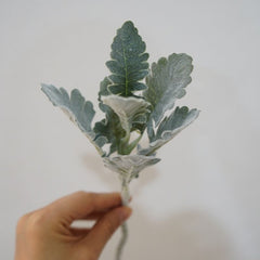 4pcs，Ins Grey Simulation Plant Silver Leaf Chrysanthemum Plush Sheep Horn Leaf Home Decoration Ornament Versatile