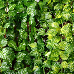 12 Pcs Artificial Leaf Garland Green Plant Decoration for Home, Office, Party, Wedding